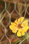 <img100*0:stuff/z/73640/Autumn%2520Upload%2520Page/i1263442500_37.jpg>