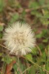 <img100*0:stuff/z/73640/Autumn%2520Upload%2520Page/i1263442898_4.jpg>