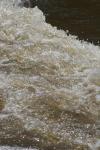 <img100*0:stuff/z/73640/Floodwater%2520reference.1/i1277863182_2.jpg>
