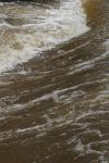 <img100*0:stuff/z/73640/Floodwater%2520reference.1/i1277863185_7.jpg>