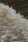 <img100*0:stuff/z/73640/Floodwater%2520reference.1/i1277863186_8.jpg>