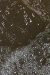 <img100*0:stuff/z/73640/Floodwater%2520reference.1/i1277863188_11.jpg>