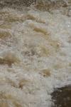 <img100*0:stuff/z/73640/Floodwater%2520reference.1/i1277863189_13.jpg>