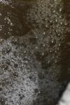 <img100*0:stuff/z/73640/Floodwater%2520reference.1/i1277863190_14.jpg>