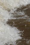 <img100*0:stuff/z/73640/Floodwater%2520reference.1/i1277864897_1.jpg>