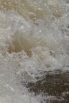 <img100*0:stuff/z/73640/Floodwater%2520reference.1/i1277864899_3.jpg>
