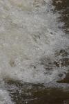 <img100*0:stuff/z/73640/Floodwater%2520reference.1/i1277864915_23.jpg>