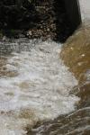 <img100*0:stuff/z/73640/Floodwater%2520reference.1/i1277864919_29.jpg>