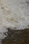 <img100*0:stuff/z/73640/Floodwater%2520reference.1/i1277864922_32.jpg>