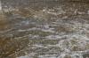 <img100*0:stuff/z/73640/Floodwater%2520reference.1/i1277865420_3.jpg>