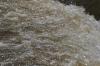 <img100*0:stuff/z/73640/Floodwater%2520reference.1/i1277865420_5.jpg>