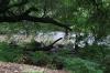 <img100*0:stuff/z/73640/Floodwater%2520reference.2/i1278643209_1.jpg>