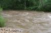 <img100*0:stuff/z/73640/Floodwater%2520reference.2/i1278643210_3.jpg>