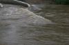 <img100*0:stuff/z/73640/Floodwater%2520reference.2/i1278643211_11.jpg>