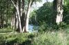 <img100*0:stuff/z/73640/Frio%2520River%2520reference.2/i1265090103_15.jpg>
