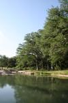 <img100*0:stuff/z/73640/Frio%2520River%2520reference.2/i1265090103_16.jpg>