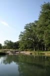 <img100*0:stuff/z/73640/Frio%2520River%2520reference.2/i1265090103_18.jpg>