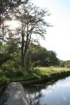 <img100*0:stuff/z/73640/Frio%2520River%2520reference.2/i1265090976_2.jpg>