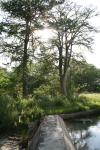 <img100*0:stuff/z/73640/Frio%2520River%2520reference.2/i1265090976_5.jpg>
