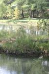 <img100*0:stuff/z/73640/Frio%2520River%2520reference.2/i1265090977_10.jpg>