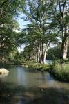 <img100*0:stuff/z/73640/Frio%2520River%2520reference.2/i1265090977_11.jpg>