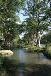 <img100*0:stuff/z/73640/Frio%2520River%2520reference.2/i1265090977_13.jpg>