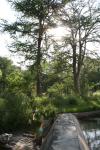 <img100*0:stuff/z/73640/Frio%2520River%2520reference.2/i1265090977_8.jpg>