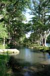 <img100*0:stuff/z/73640/Frio%2520River%2520reference.2/i1265090977_9.jpg>