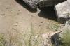 <img100*0:stuff/z/73640/Frio%2520River%2520reference.2/i1265093948_16.jpg>
