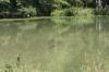 <img100*0:stuff/z/73640/Frio%2520River%2520reference.2/i1265093949_26.jpg>