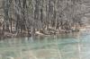 <img100*0:stuff/z/73640/Frio%2520River%2520reference.2/i1265093950_28.jpg>