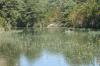 <img100*0:stuff/z/73640/Frio%2520River%2520reference.2/i1265093950_33.jpg>