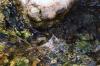 <img100*0:stuff/z/73640/Frio%2520River%2520reference.2/i1265093951_35.jpg>
