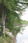 <img100*0:stuff/z/73640/Frio%2520River%2520reference.2/i1265093951_37.jpg>
