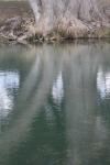 <img100*0:stuff/z/73640/Frio%2520River%2520reference.2/i1265093951_40.jpg>