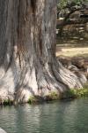 <img100*0:stuff/z/73640/Frio%2520River%2520reference.2/i1265095408_12.jpg>