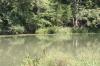 <img100*0:stuff/z/73640/Frio%2520River%2520reference.2/i1265095408_14.jpg>