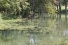 <img100*0:stuff/z/73640/Frio%2520River%2520reference.2/i1265095408_15.jpg>
