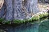<img100*0:stuff/z/73640/Frio%2520River%2520reference.2/i1265095408_17.jpg>