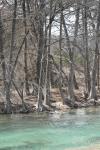 <img100*0:stuff/z/73640/Frio%2520River%2520reference.2/i1265095408_5.jpg>
