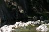 <img100*0:stuff/z/73640/Frio%2520River%2520reference.2/i1265095408_8.jpg>