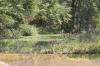 <img100*0:stuff/z/73640/Frio%2520River%2520reference.2/i1265095408_9.jpg>