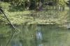 <img100*0:stuff/z/73640/Frio%2520River%2520reference.2/i1265095409_21.jpg>
