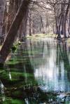 <img100*0:stuff/z/73640/Frio%2520River%2520reference.2/i1265095409_23.jpg>