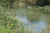 <img100*0:stuff/z/73640/Frio%2520River%2520reference.2/i1265095409_27.jpg>