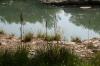 <img100*0:stuff/z/73640/Frio%2520River%2520reference.2/i1265095409_30.jpg>