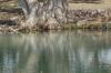 <img100*0:stuff/z/73640/Frio%2520River%2520reference.2/i1265095409_34.jpg>
