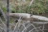 <img100*0:stuff/z/73640/Frio%2520River%2520reference.2/i1265158438_1.jpg>