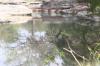 <img100*0:stuff/z/73640/Frio%2520River%2520reference.2/i1265158438_4.jpg>