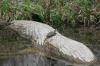 <img100*0:stuff/z/73640/Frio%2520River%2520reference.2/i1265158438_5.jpg>